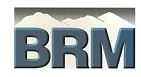 Blue Ridge Metals Corp. Logo